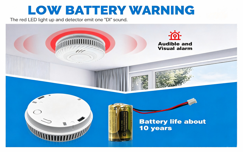 Zhuhai Hoyma Technology Co.,Ltd.